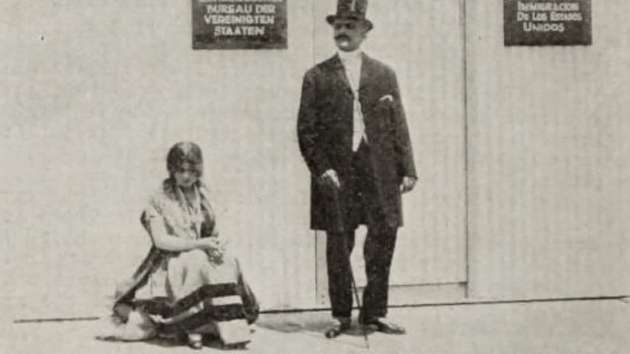 The Intrigue backdrop