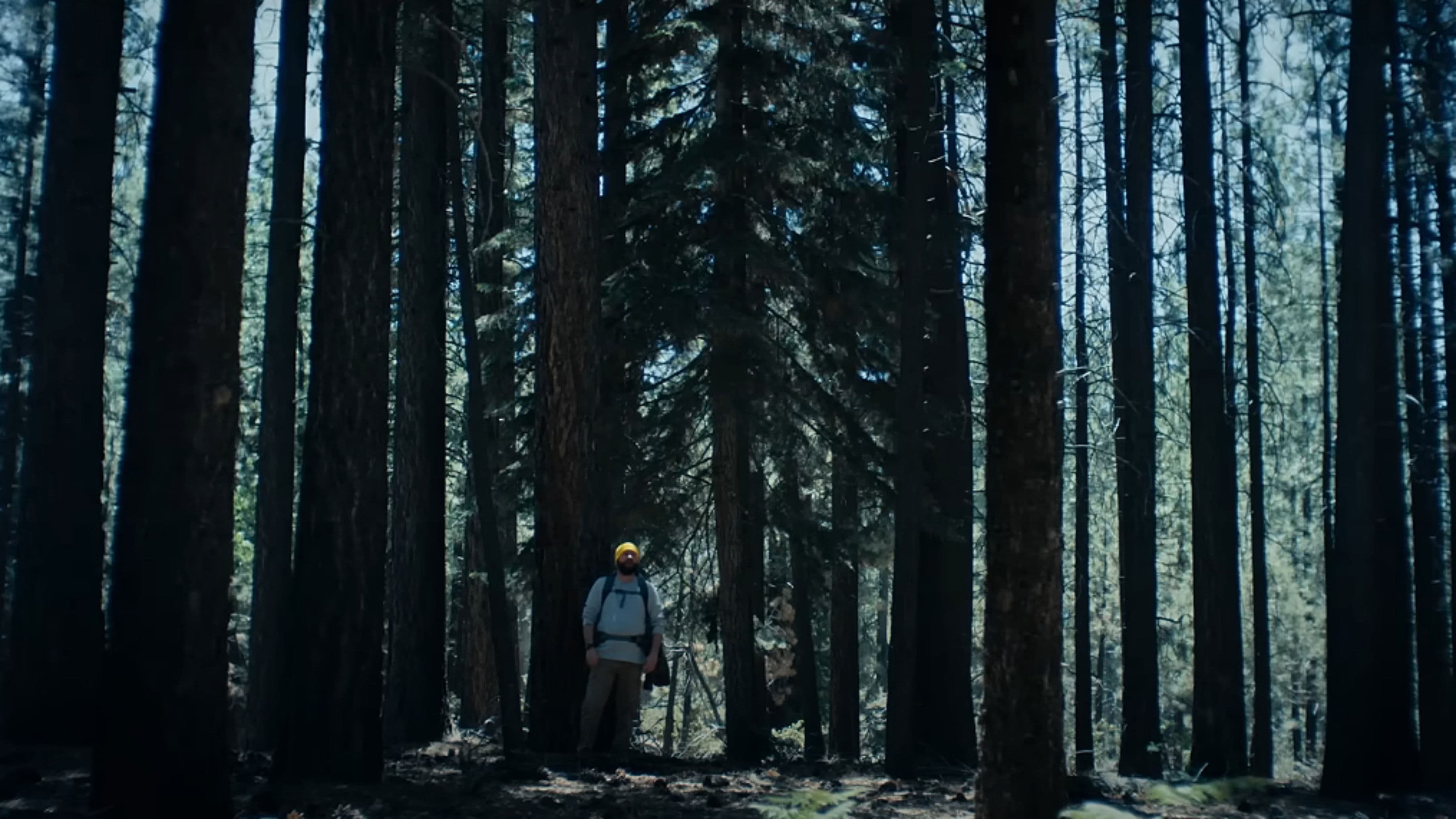 The Hidebehind backdrop