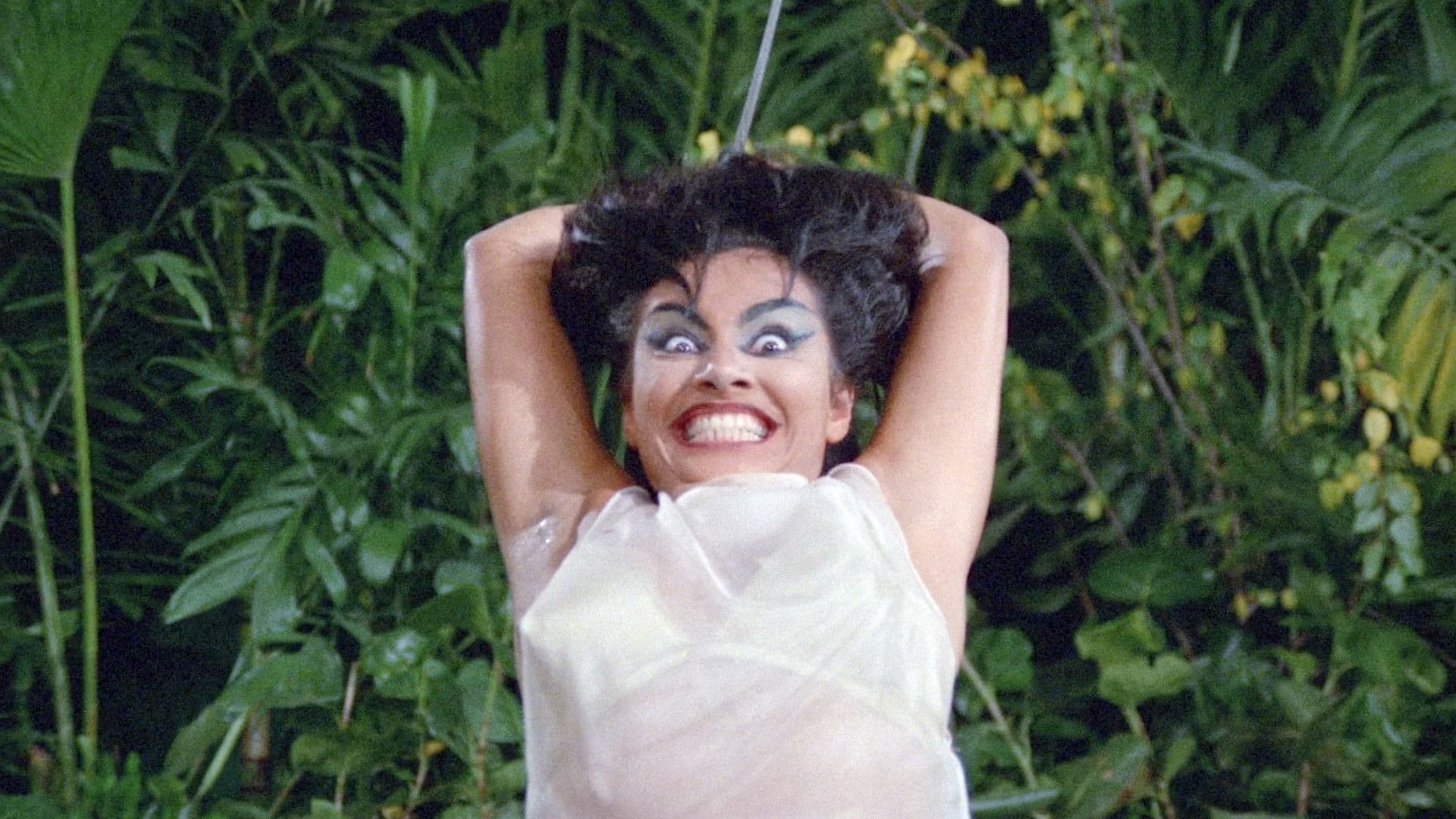 Six She's and a He backdrop