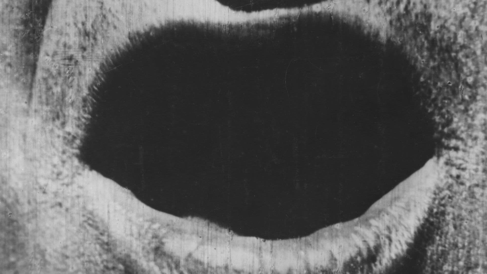 The Big Swallow backdrop