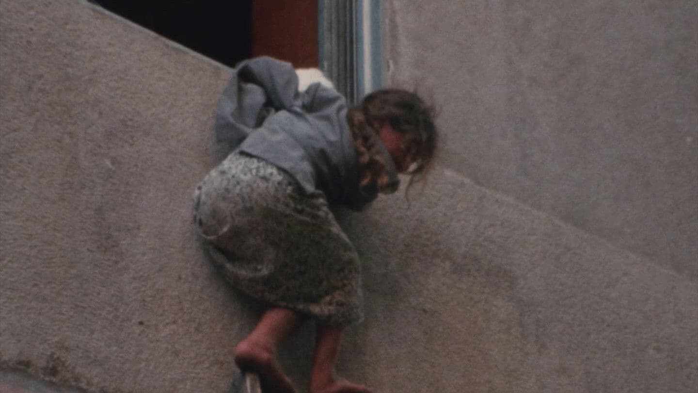 Beirut, Never Again backdrop