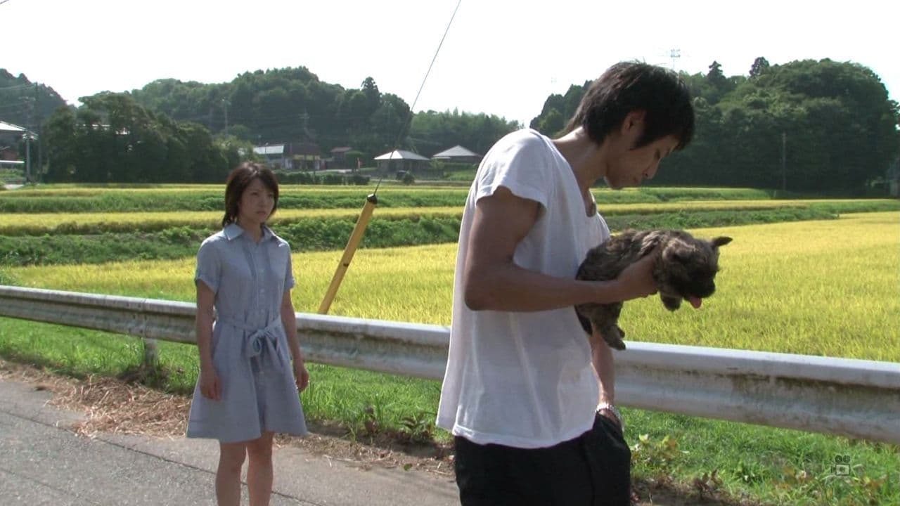 When You Love And When You Are Loved backdrop