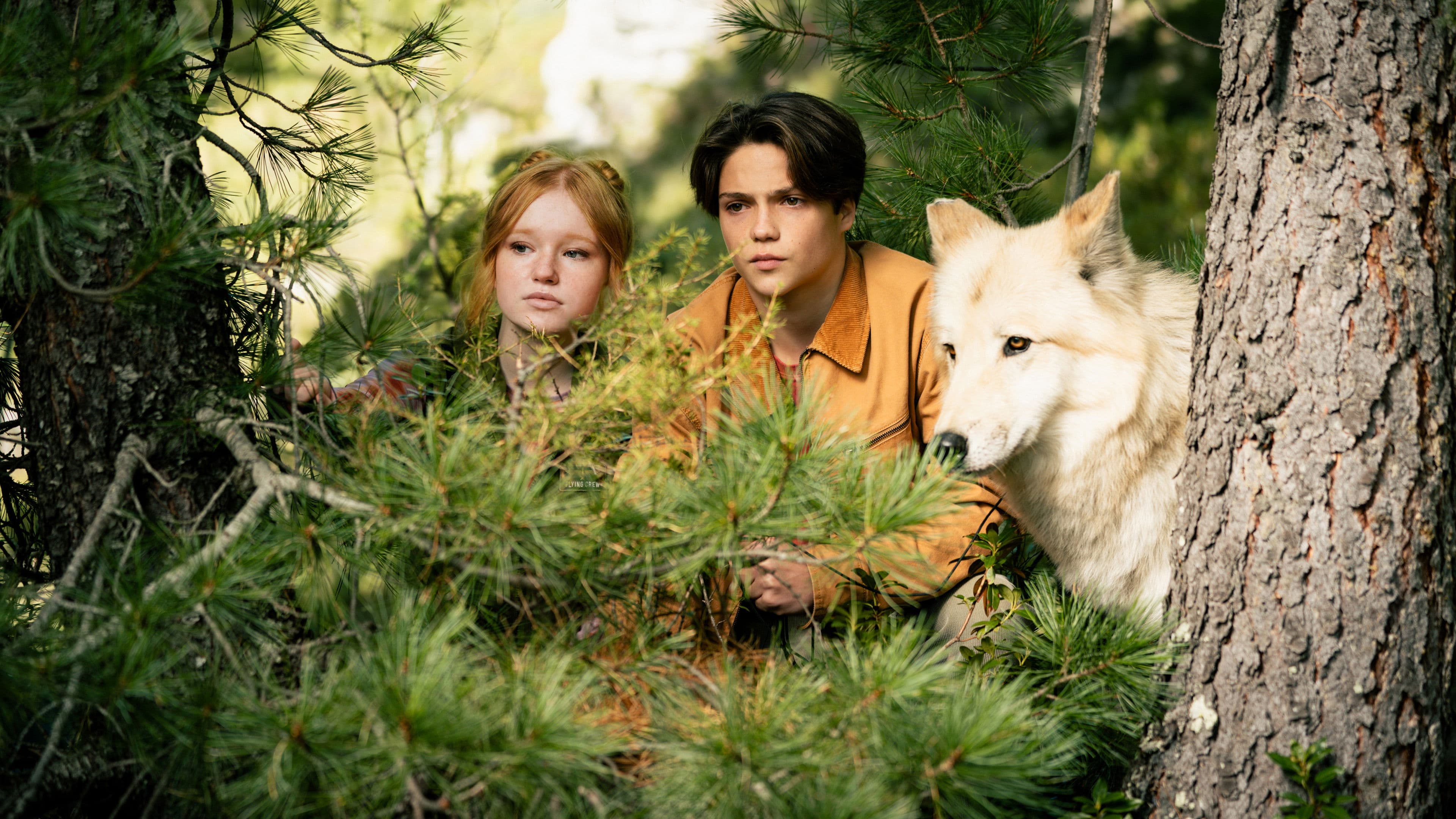 Woodwalkers 2 backdrop